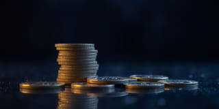 Open and honest practices highlighted under Transparency at the Steady Termgainry trading platform